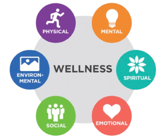 Esferas de la Vida Wellness