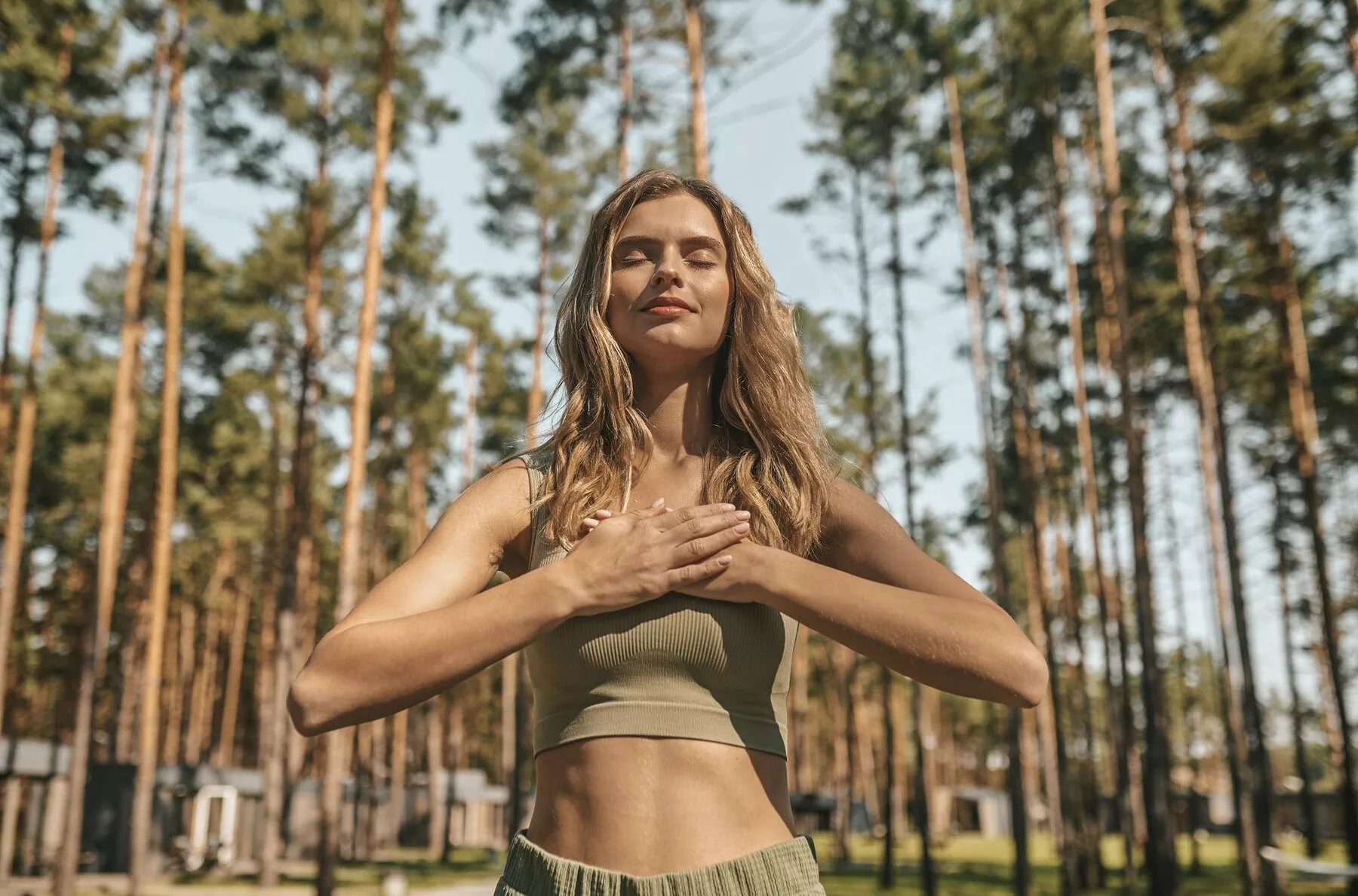 Wellness Significado