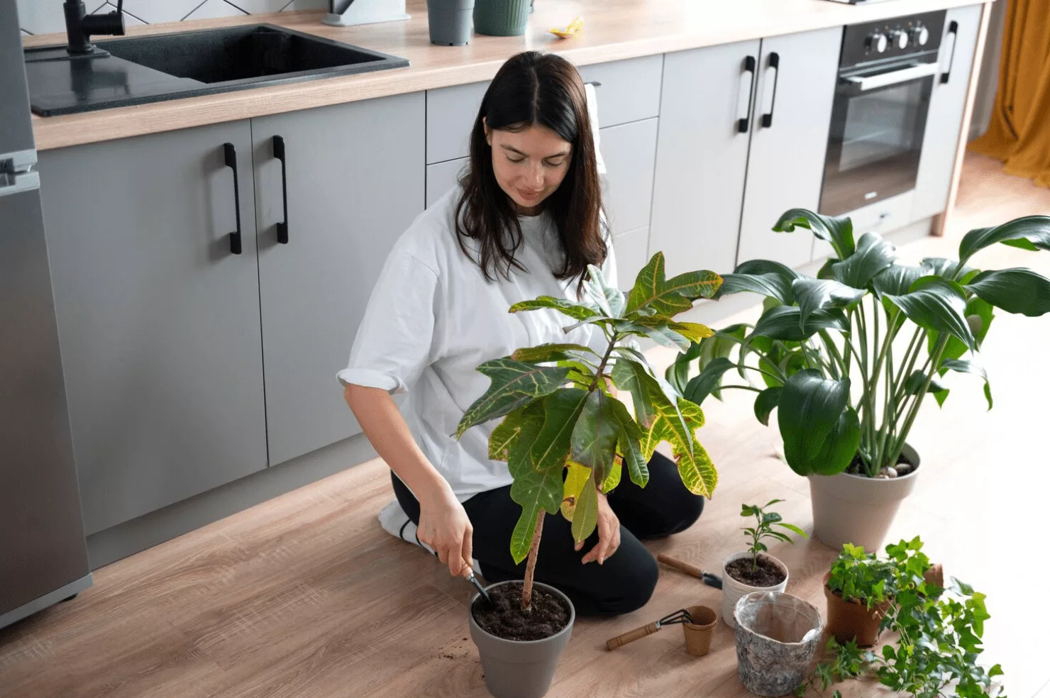 ¿Cómo comenzar un cultivo en casa?